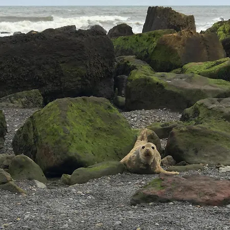 Casa vacanze Stable *